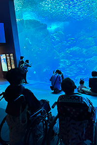 貴峯荘湘南の丘で新江ノ島水族館等に出かけました