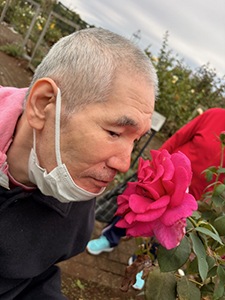 今年も花菜ガーデンに行ってきました。